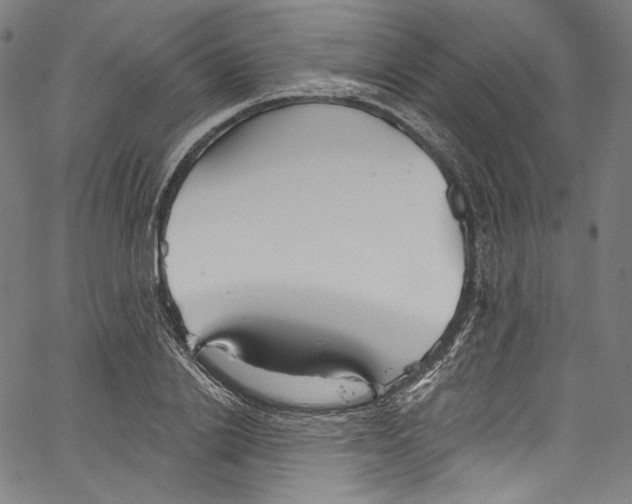 X0000067350838200604281440