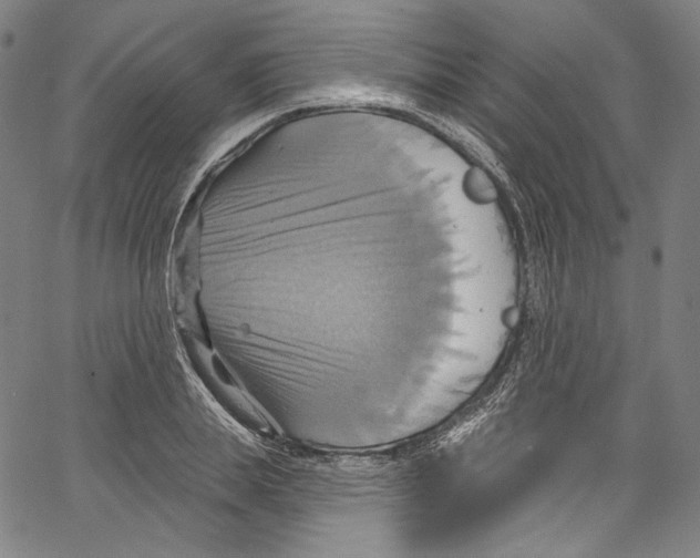 X0000067350839200604281440