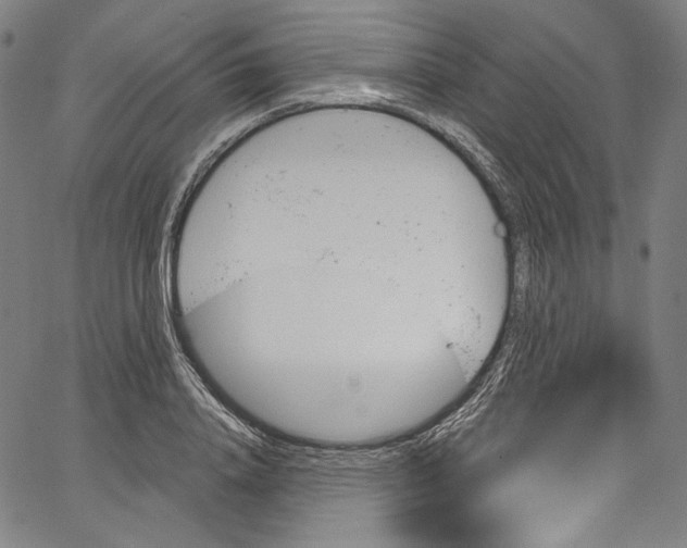 X0000067350840200604281440