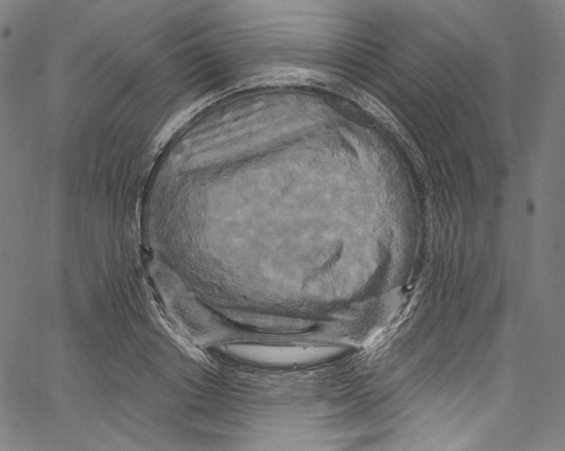 X0000067350842200604281440