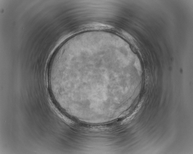 X0000067350843200604281440