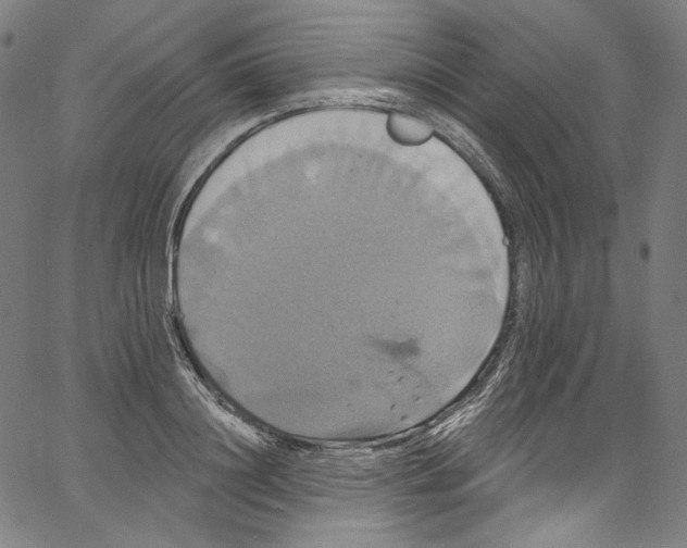 X0000067350844200604281440