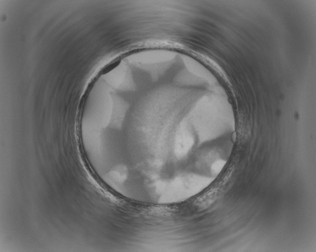 X0000067350847200604281440