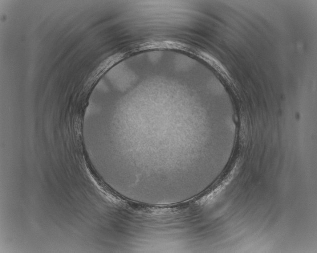 X0000067350849200604281440