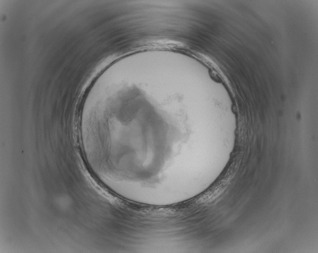 X0000067350851200604281440