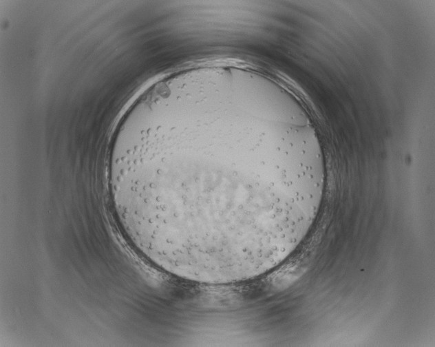 X0000067350852200604281440