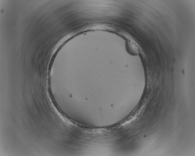 X0000067350853200604281440