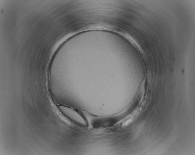 X0000067350854200604281440