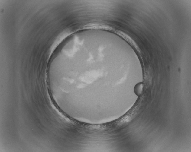 X0000067350855200604281440