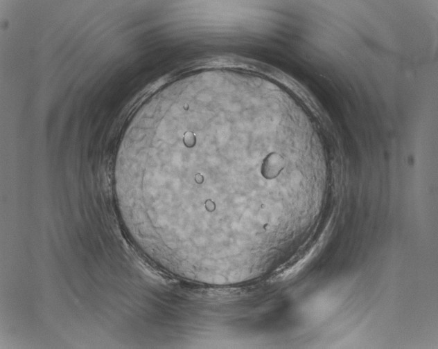 X0000067350857200604281440