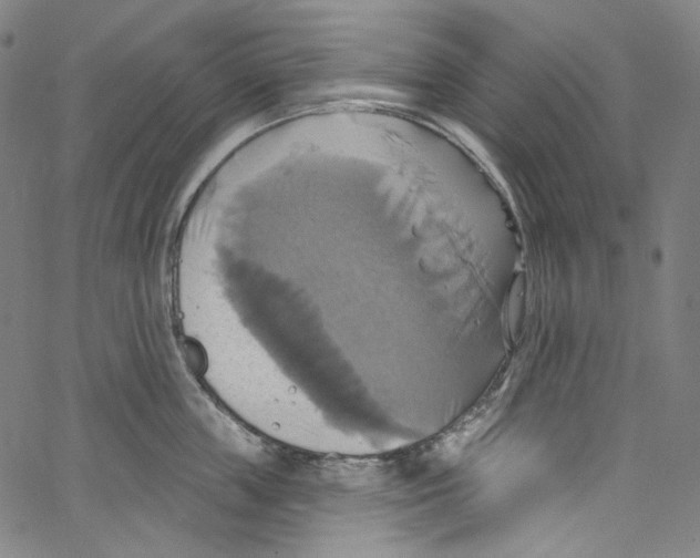 X0000067350859200604281440