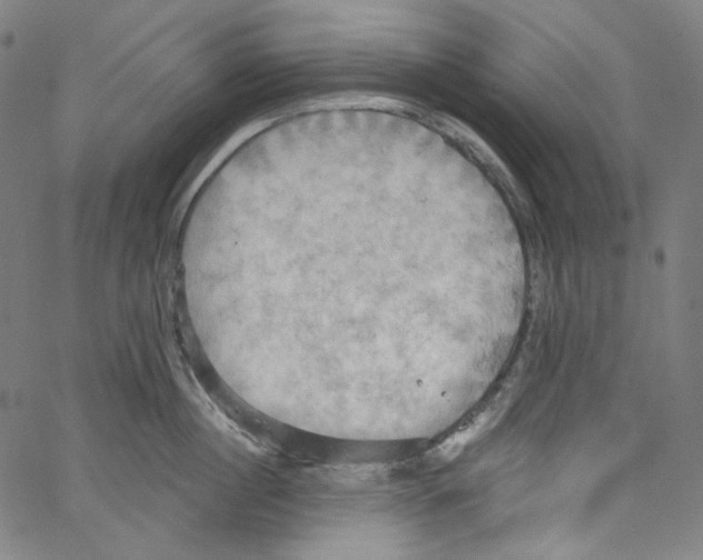 X0000067350860200604281440