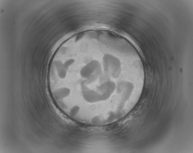 X0000067350861200604281440