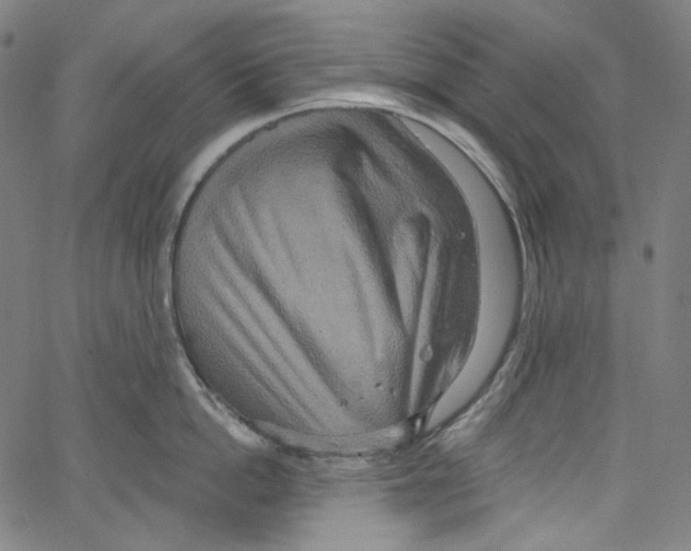 X0000067350862200604281440