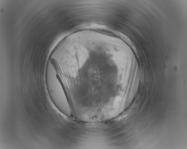 X0000067350863200604281440