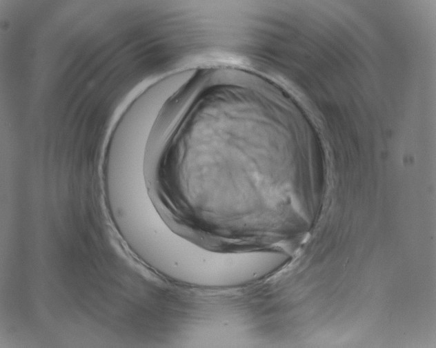 X0000067350864200604281440