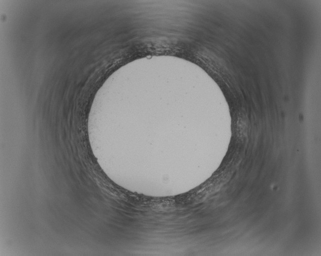 X0000067350865200604281439