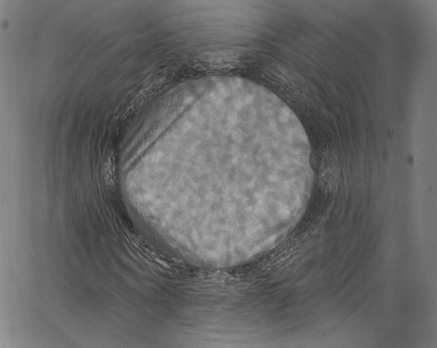 X0000067350866200604281439