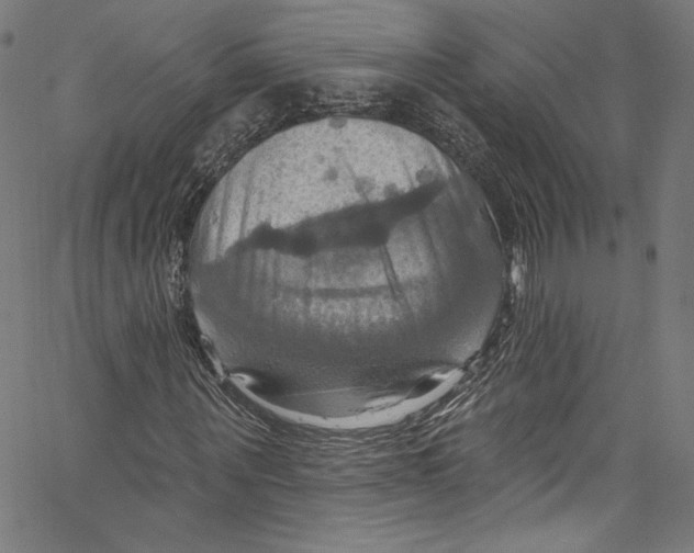 X0000067350867200604281439