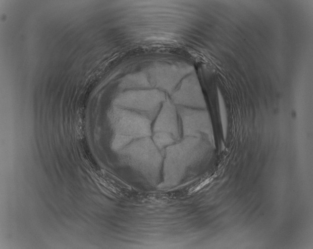 X0000067350868200604281439