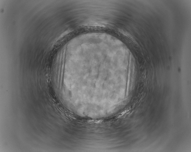 X0000067350870200604281439