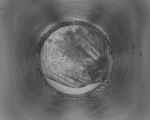 X0000067350871200604281439