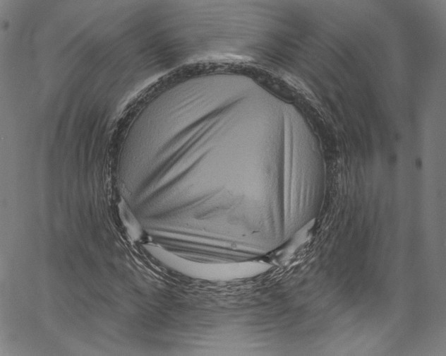 X0000067350872200604281439