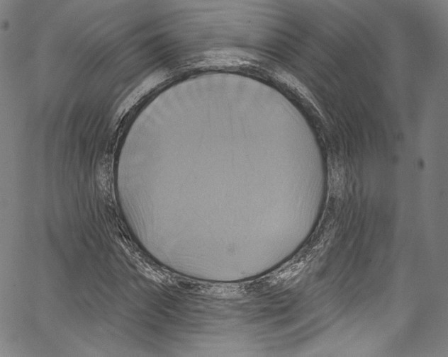 X0000067350874200604281439