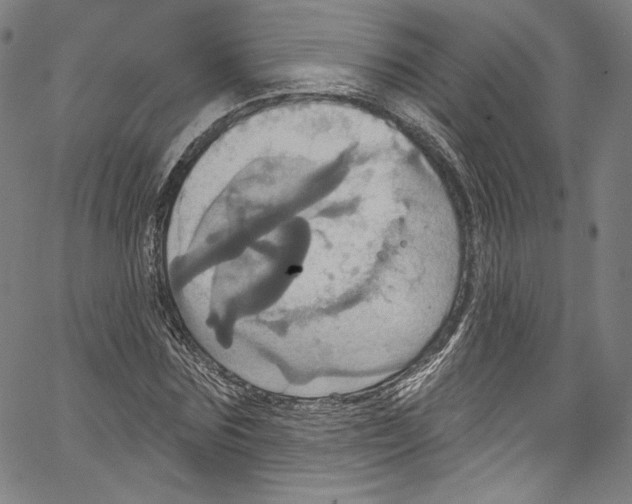 X0000067350875200604281439