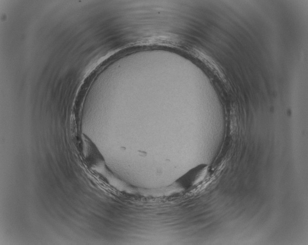 X0000067350876200604281439