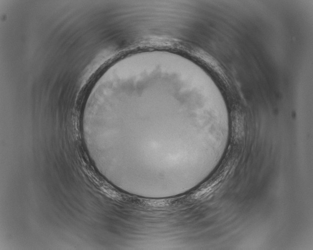 X0000067350878200604281439