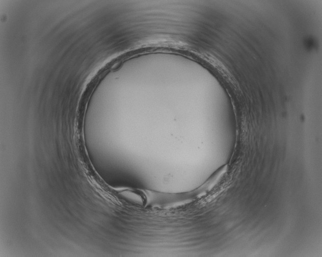 X0000067350880200604281439