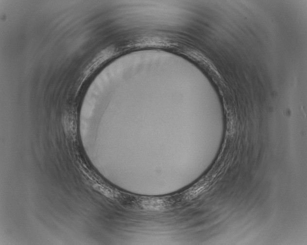 X0000067350882200604281439