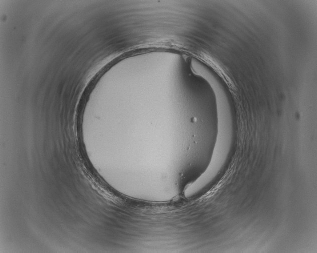 X0000067350884200604281439