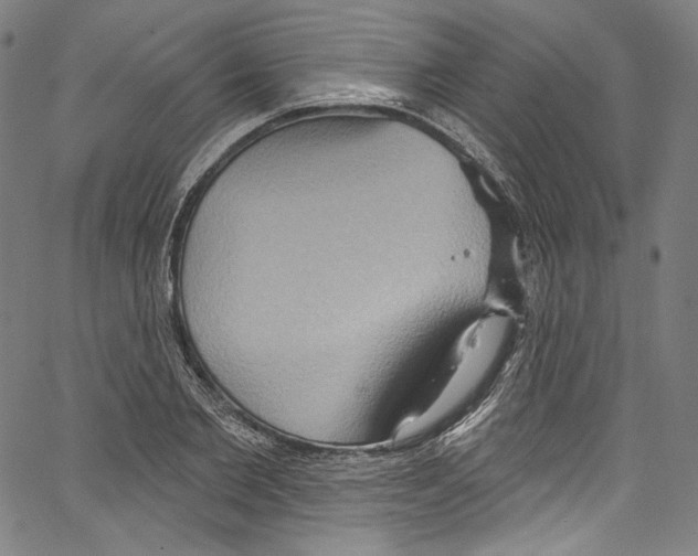 X0000067350885200604281439