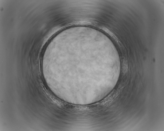 X0000067350886200604281439