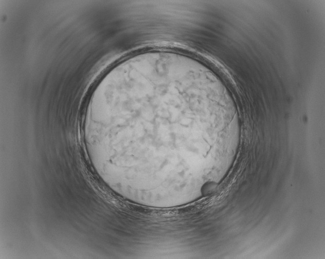 X0000067350887200604281439