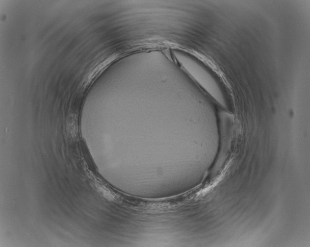 X0000067350889200604281439