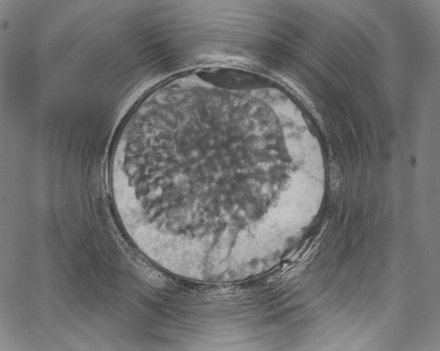 X0000067350891200604281439