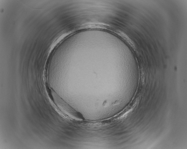 X0000067350893200604281439