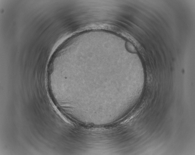 X0000067350894200604281439