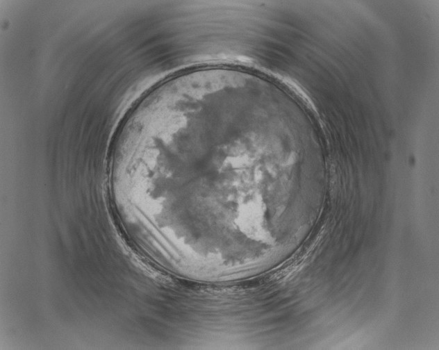 X0000067350895200604281439