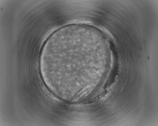 X0000067350896200604281439