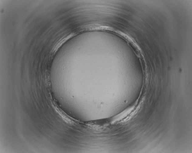 X0000067350897200604281439