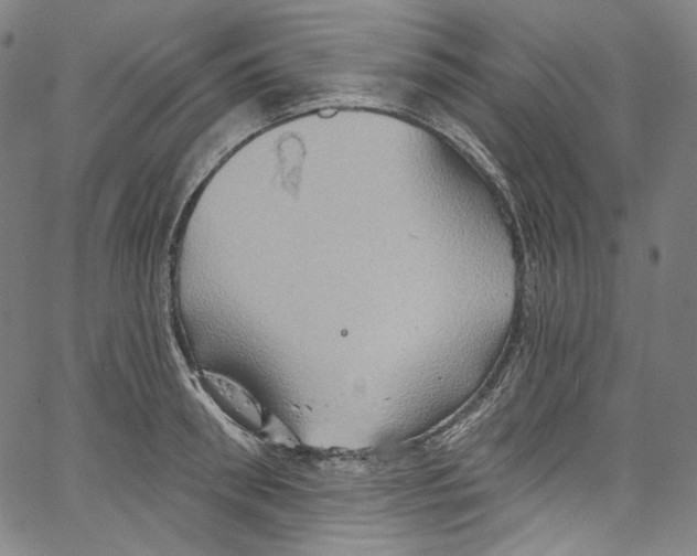 X0000067350898200604281439