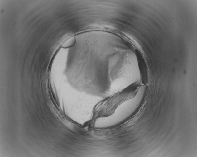 X0000067350899200604281439