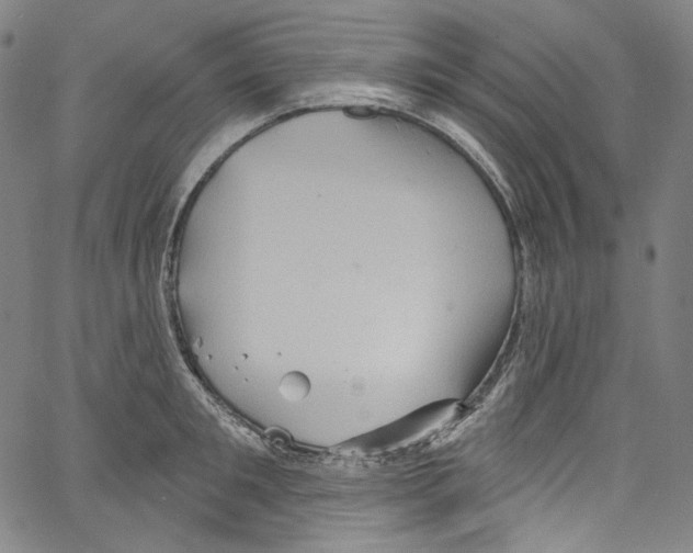 X0000067350901200604281439