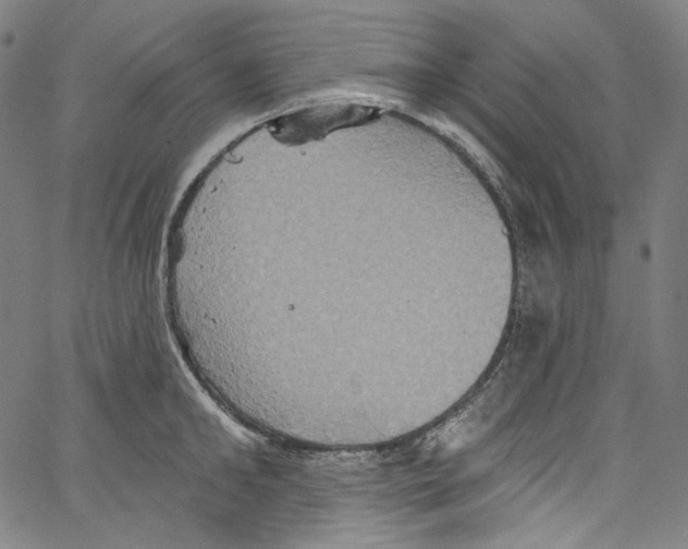 X0000067350902200604281439