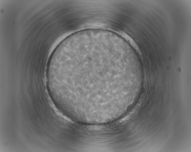 X0000067350904200604281439