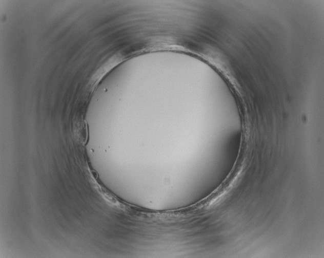 X0000067350905200604281439